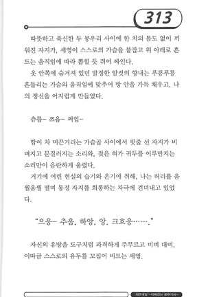 최면게임 - 타락하는 공주기사 - Page 317