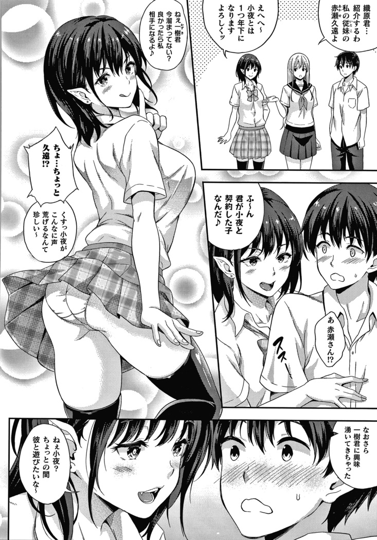 恋人は吸血鬼!? + 4Pリーフレット