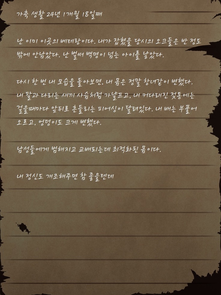 Sage Lavinia's Last Note ~ In the ruin of orc fort ~