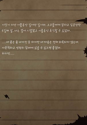 Sage Lavinia's Last Note ~ In the ruin of orc fort ~ Page #29
