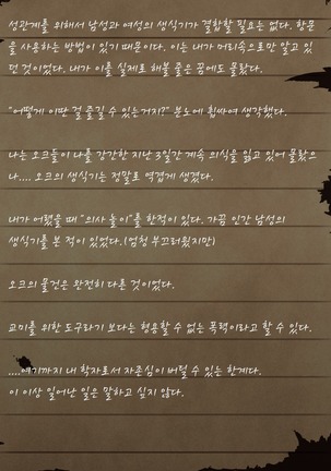 Sage Lavinia's Last Note ~ In the ruin of orc fort ~ Page #36