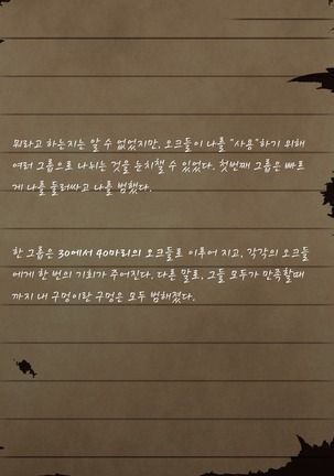 Sage Lavinia's Last Note ~ In the ruin of orc fort ~ Page #44