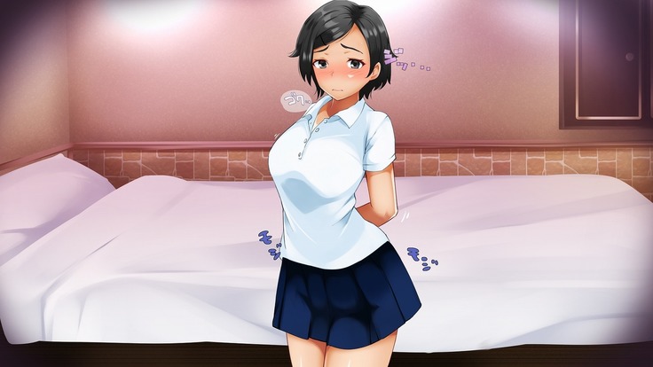 Smapho de Kantan! Seifuku Gyaru Tanetsuke SNS
