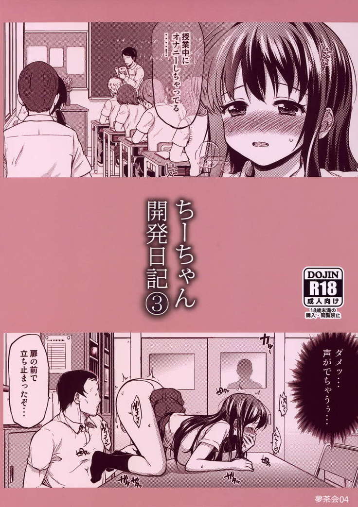 Chii-chan's Development Dairy 3