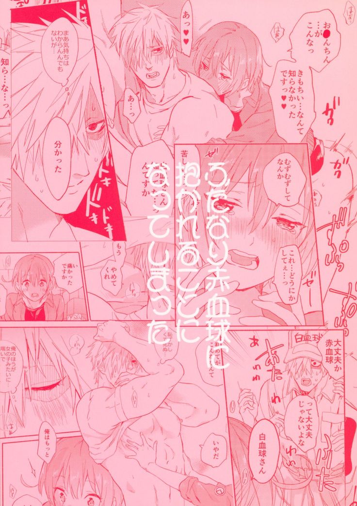 Futanari Sekkekkyuu ni Dakareru Koto ni Natte Shimatta