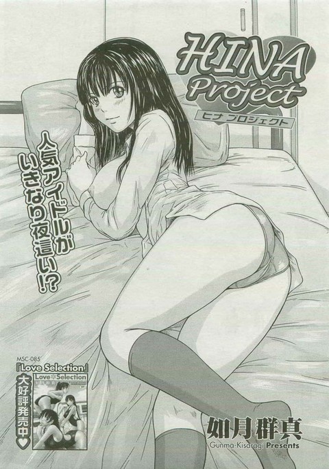 Hina Project