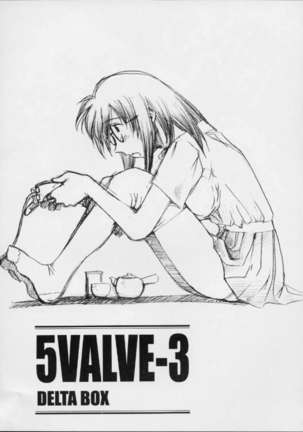 5VALVE-3 - Page 2
