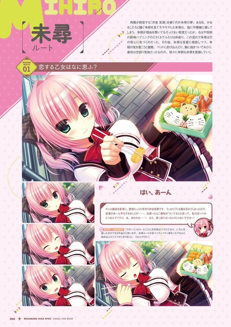 ワガママハイスペック　ビジュアルファンブック