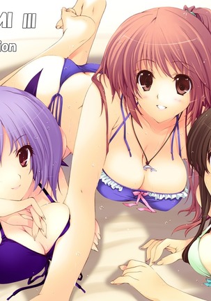 KASUMI Ⅲ +αAddition Page #558