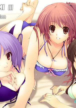 KASUMI Ⅲ +αAddition Page #593