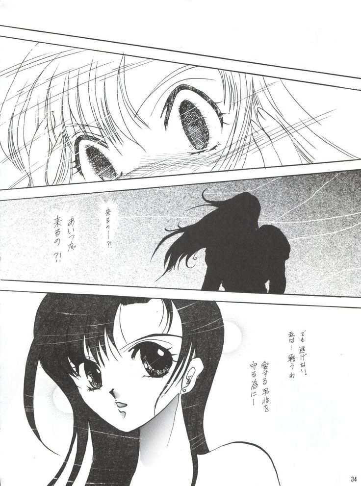 Hanjuuryoku XVI
