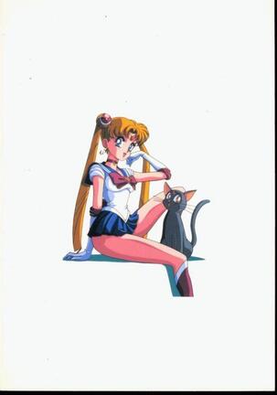 Sailor Moon Monbook Series 1 - Page 38