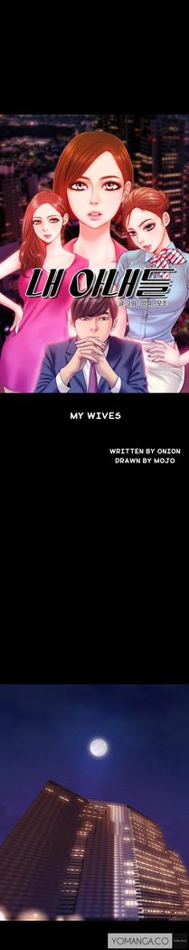 My Wives Ch.1-27