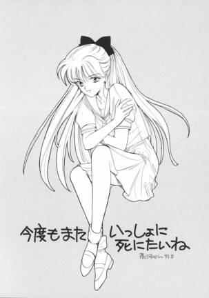 Pretty Soldier Sailor Moon F - Page 28