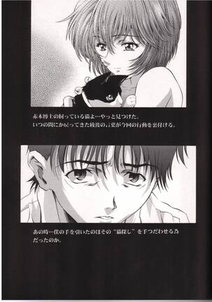 AYANAMI SUMMIT Page #20