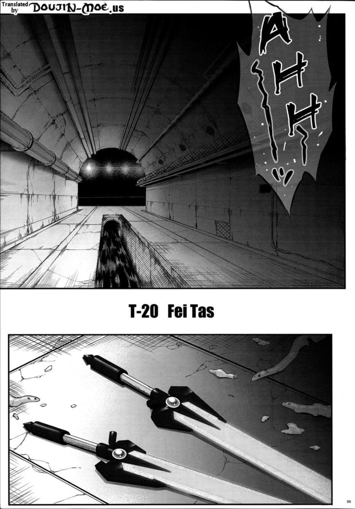 T-20 Fei Tas