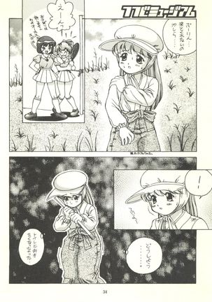 Tsutsuji Museum - Page 34