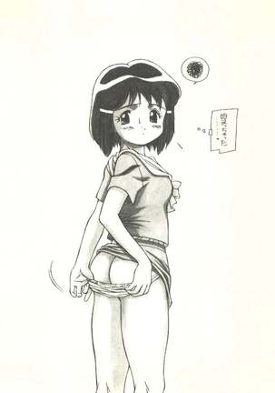 Tsutsuji Museum - Page 30