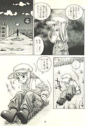 Tsutsuji Museum - Page 35