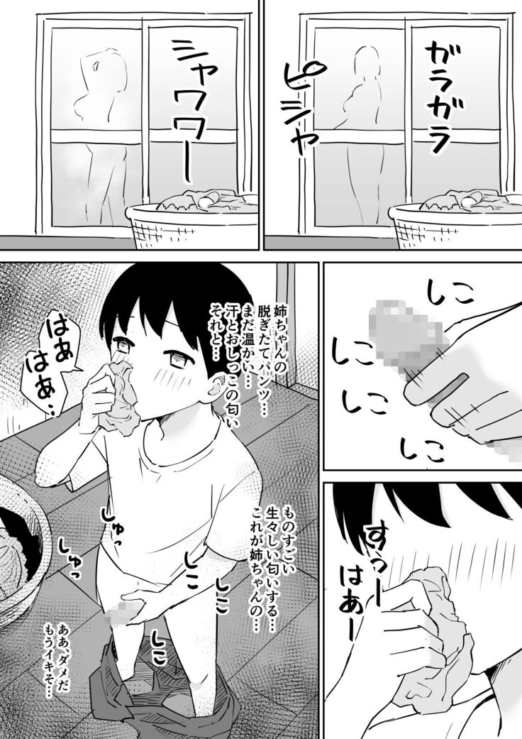 親の再婚で出来た姉があまりに無防備だったので、とりあえず犯してみた。