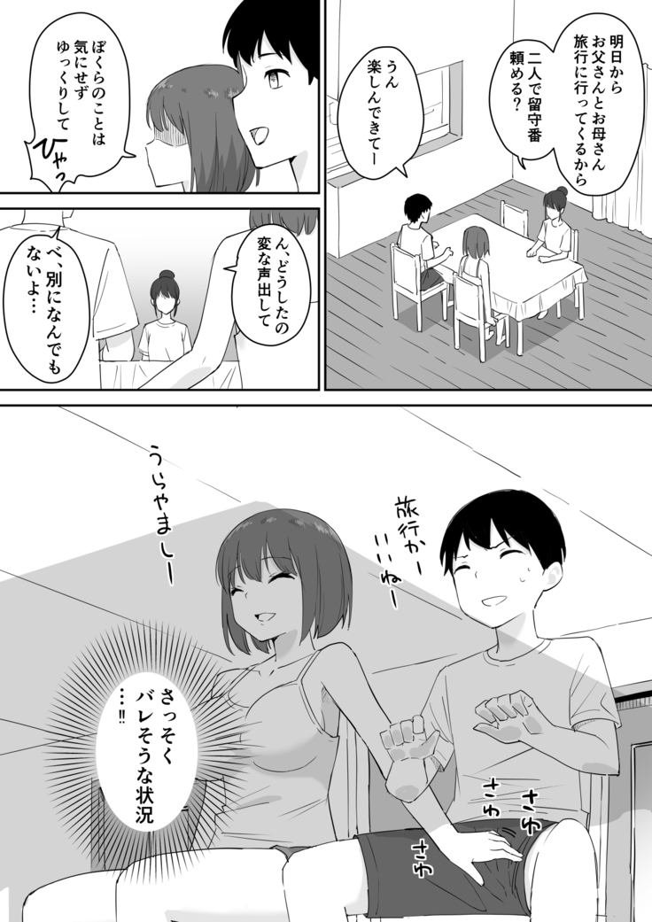 親の再婚で出来た姉があまりに無防備だったので、とりあえず犯してみた。