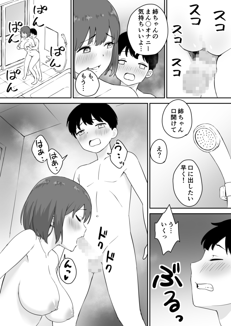 親の再婚で出来た姉があまりに無防備だったので、とりあえず犯してみた。