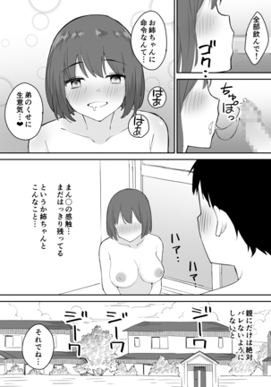 親の再婚で出来た姉があまりに無防備だったので、とりあえず犯してみた。 - Page 20