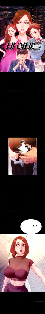 My Wives Ch.1-43