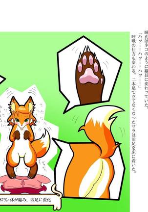 Kemo tan 1＠J-Chimera Page #29