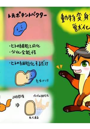 Kemo tan 1＠J-Chimera Page #37