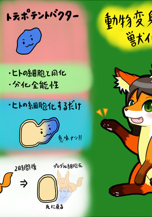 Kemo tan 1＠J-Chimera Page #151