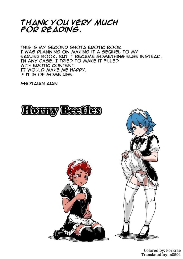 Horny Beetles