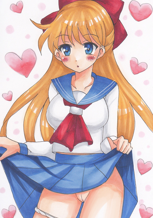 Sailor Venus - Tegaki Illust-shuu 3 Page #18