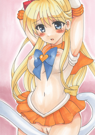 Sailor Venus - Tegaki Illust-shuu 3 - Page 11