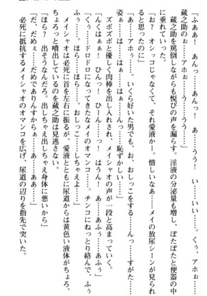 Maou no Kuse ni Namaiki da! 2: Kondo wa Seisen da! Page #233