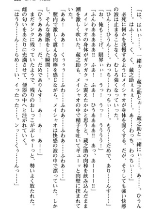 Maou no Kuse ni Namaiki da! 2: Kondo wa Seisen da! Page #237