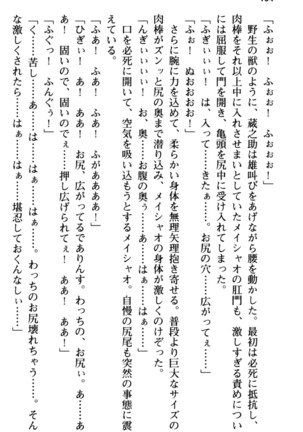 Maou no Kuse ni Namaiki da! 2: Kondo wa Seisen da! Page #116