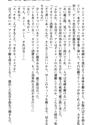 Maou no Kuse ni Namaiki da! 2: Kondo wa Seisen da! Page #213