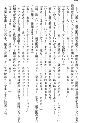 Maou no Kuse ni Namaiki da! 2: Kondo wa Seisen da! - Page 264