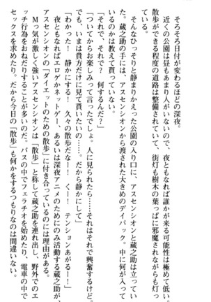 Maou no Kuse ni Namaiki da! 2: Kondo wa Seisen da! - Page 194