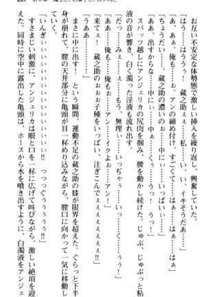 Maou no Kuse ni Namaiki da! 2: Kondo wa Seisen da! Page #219