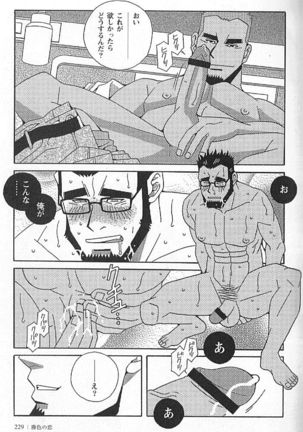 Kachiiro no Koi Page #229