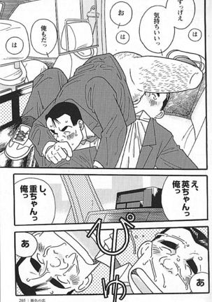 Kachiiro no Koi Page #205