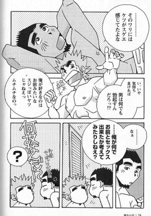 Kachiiro no Koi Page #75