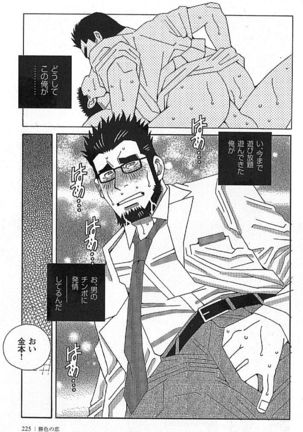 Kachiiro no Koi Page #225