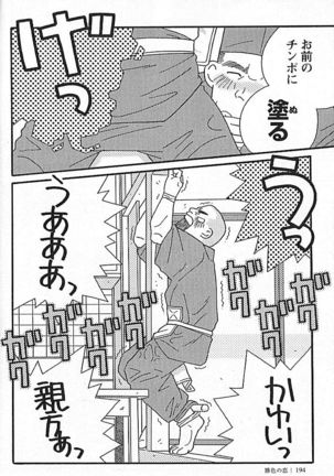 Kachiiro no Koi Page #193