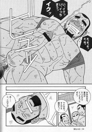 Kachiiro no Koi Page #35