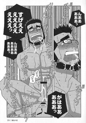 Kachiiro no Koi Page #231