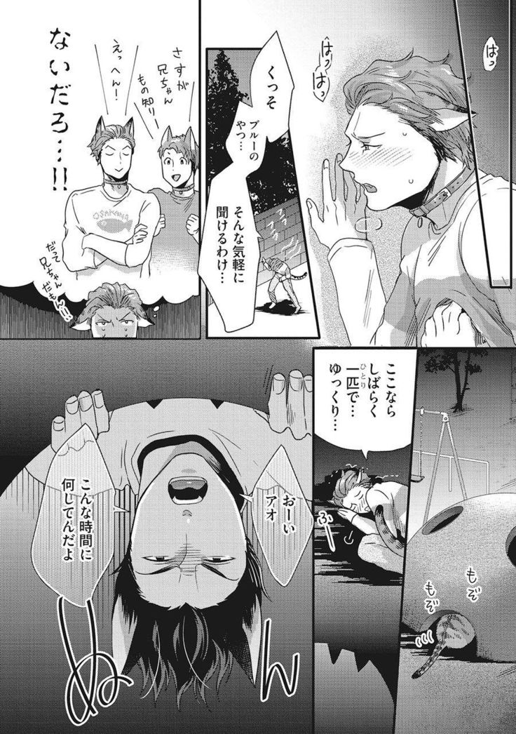 Hatsujou Kemono Biyori