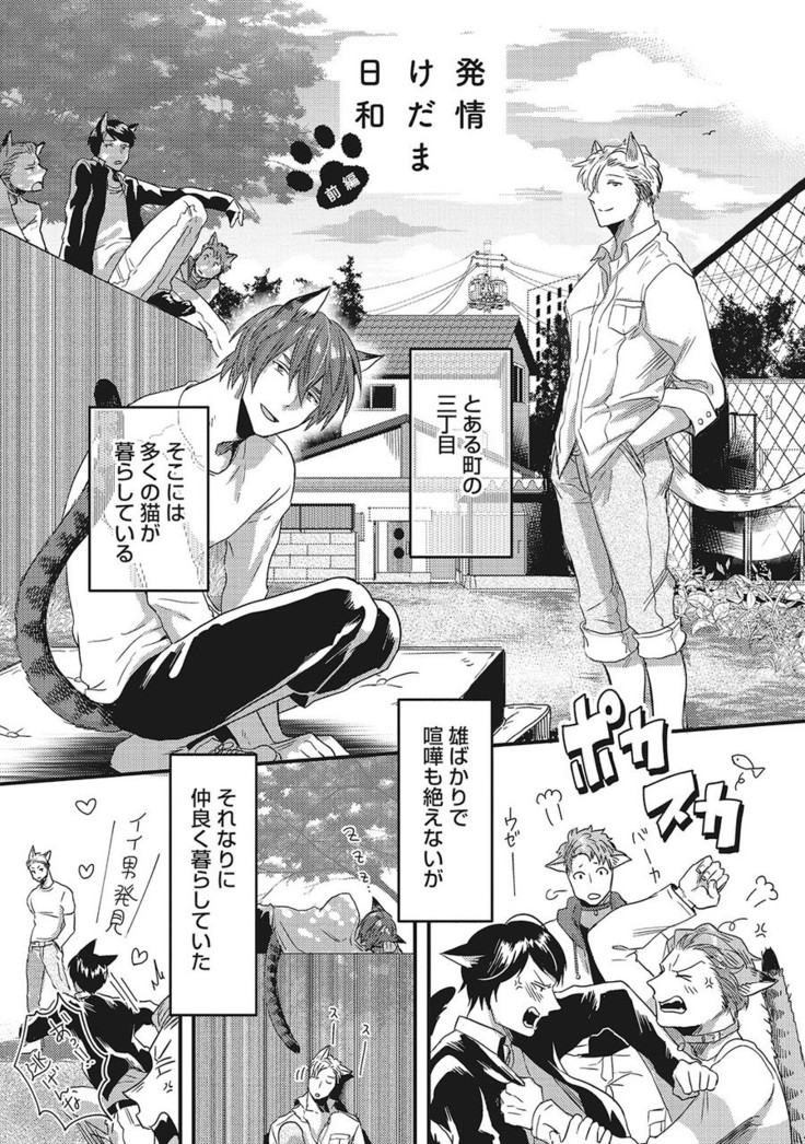 Hatsujou Kemono Biyori